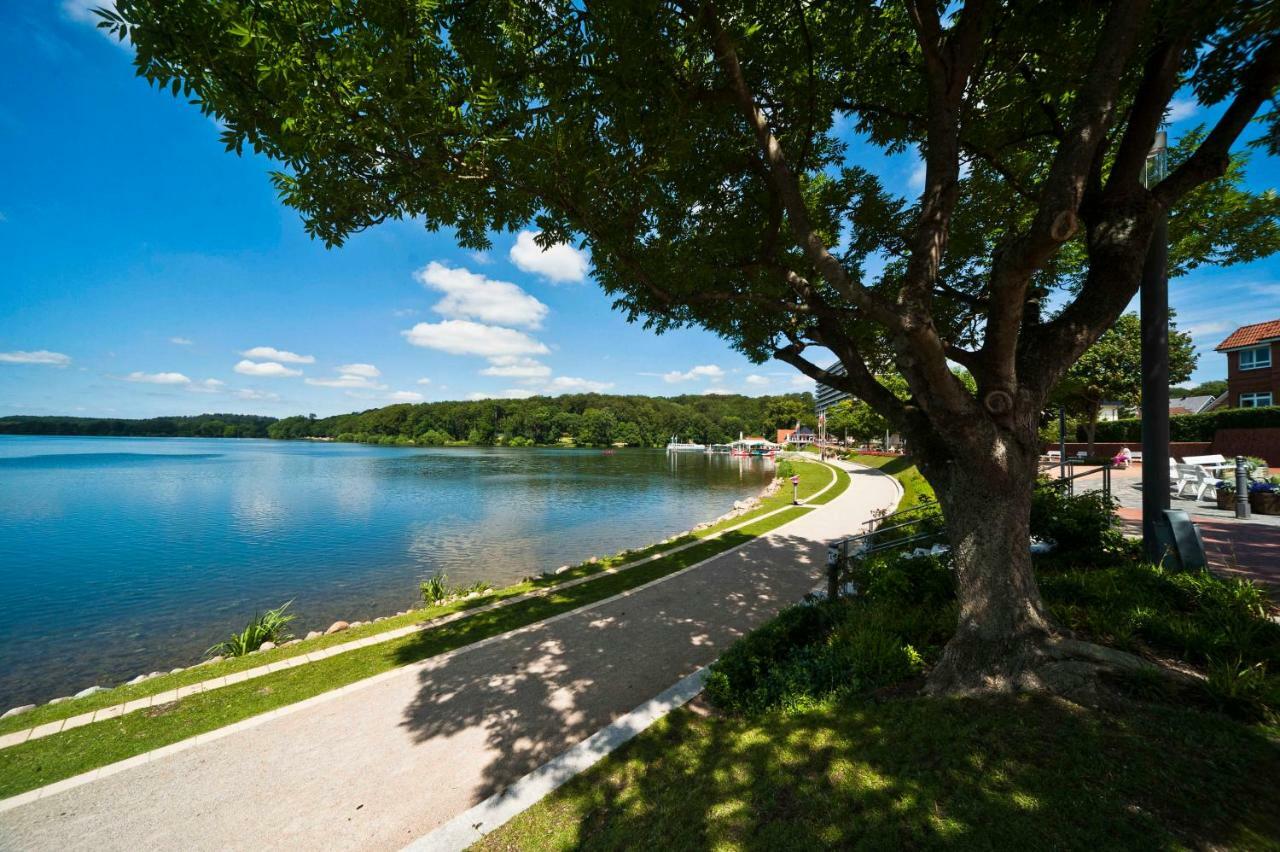 Mal Steinbock _ Ferienwohnung Anni Malente Bagian luar foto